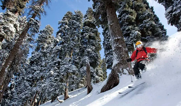 Skiing Budget Package 