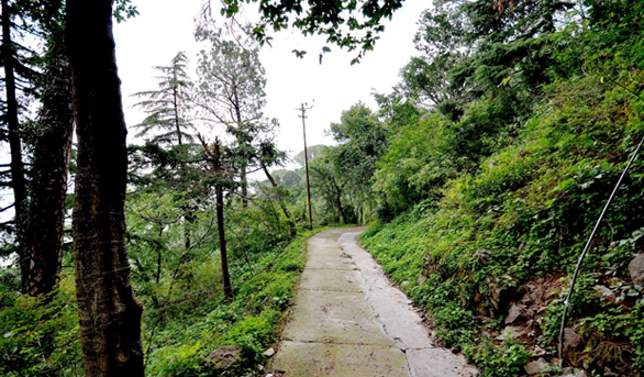 Memorable Homestay in Kasauli